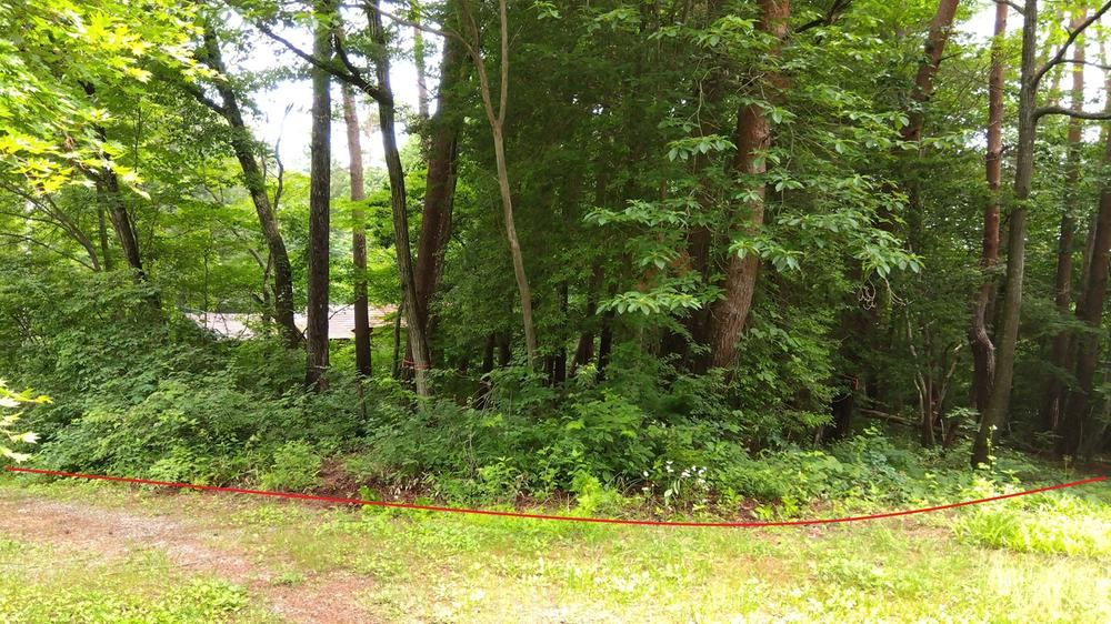 Property - Photo 1