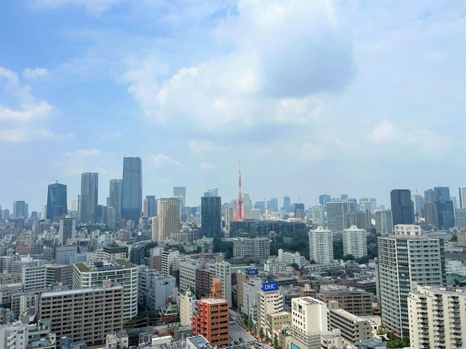 1LDK apartment in Minato Ward, Tokyo - Photo 1