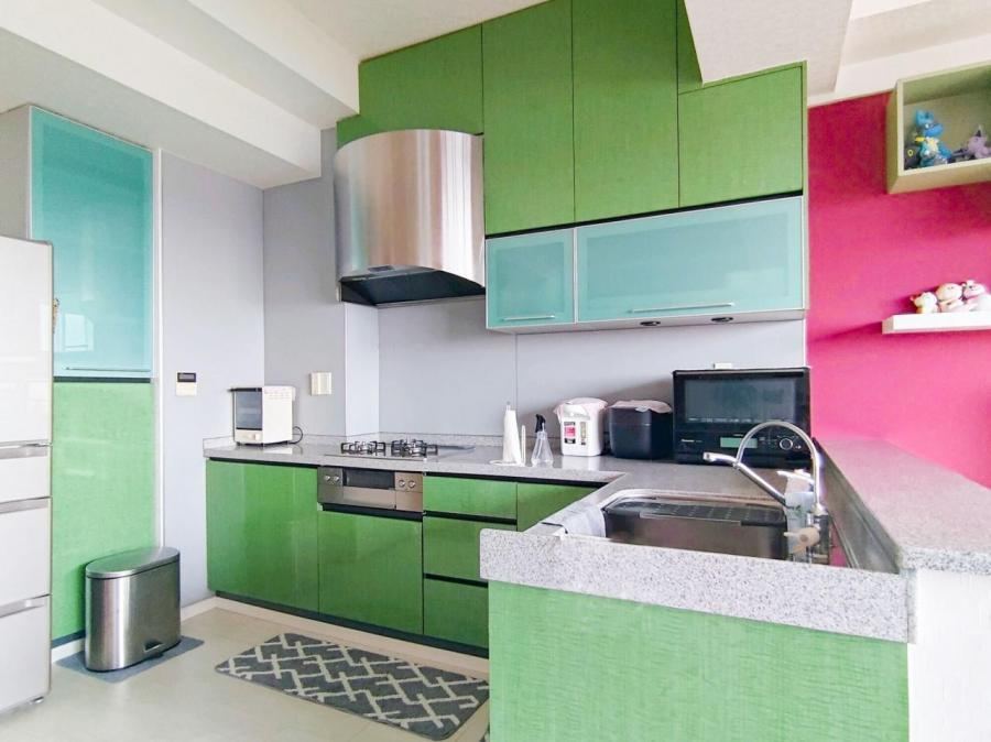 Expansive 2LDK Apartment with Wide Balcony in Edogawa - Photo 1