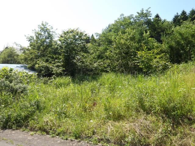 Charming Land for Gardening in Jinkawa Town - Photo 1