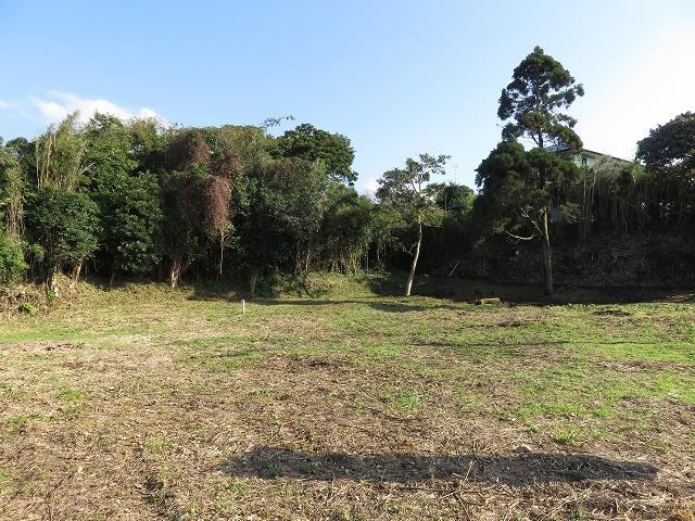 Property - Photo 1