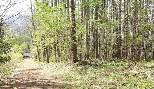 1191 m² land in Omachi, Nagano - Photo 1
