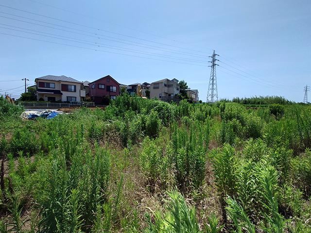 407 m² land in Miura, Kanagawa - Photo 1