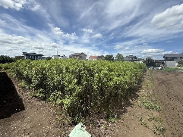 Affordable Land in Hitachinaka - Photo 1