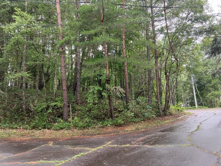 4459 m² land in Hara, Suwa District, Nagano - Photo 1