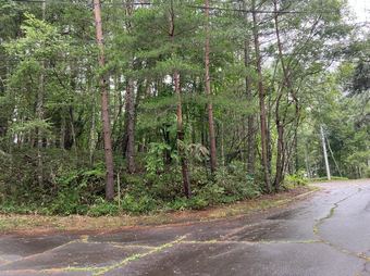 plot of land in Suwa District
