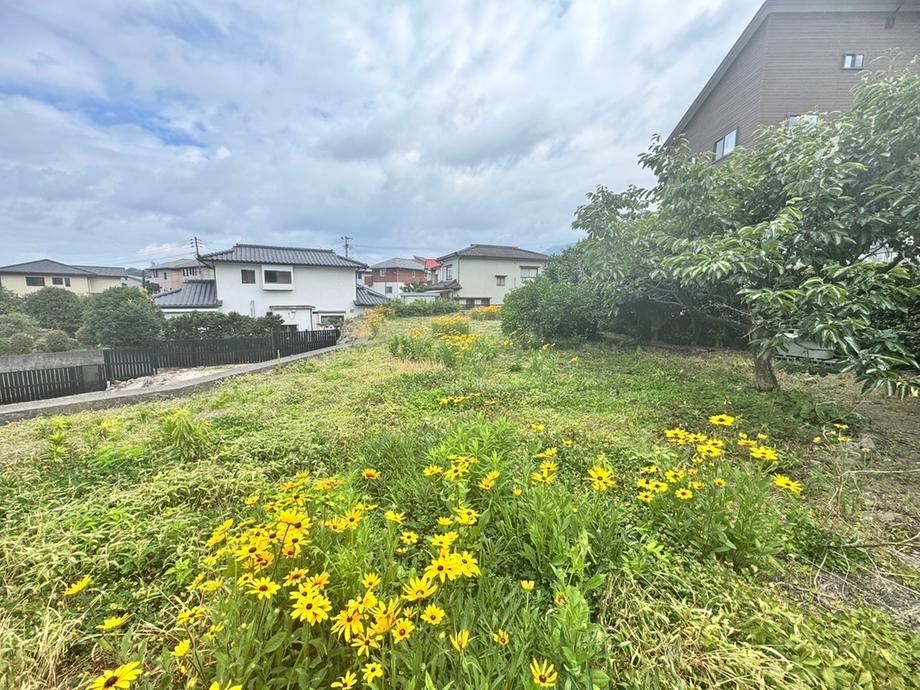 486 m² land in Beppu, Oita - Photo 1