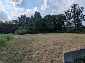 plot of land in Soma