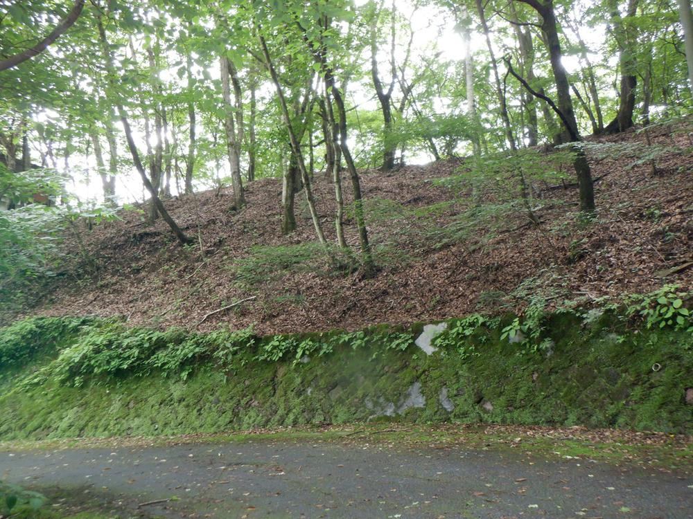 718 m² land in Karuizawa, Kitasaku District, Nagano - Photo 1