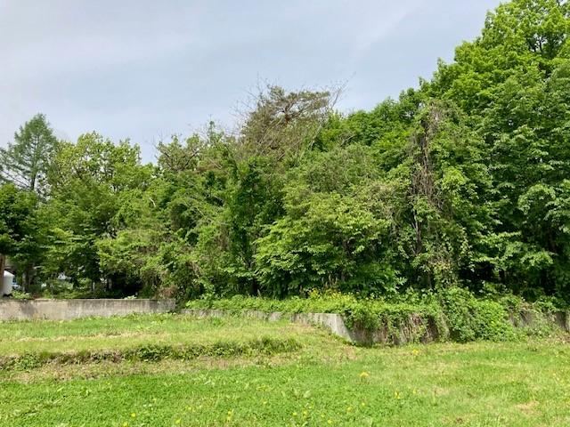 953 m² land in Hakuba, Kitaazumi District, Nagano - Photo 1