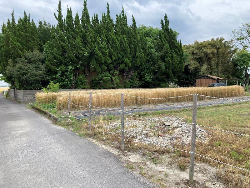 1084 m² land in Saga, Saga - Photo 1