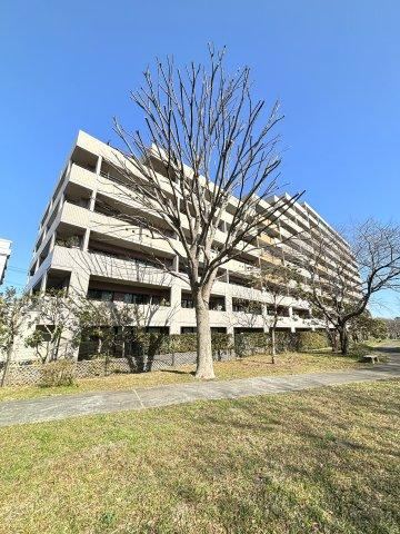 Bright 3LDK Corner Apartment with L-Shaped Balcony - Photo 1