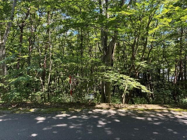 Affordable Land in Royal City Miyagi Zao Resort - Photo 1