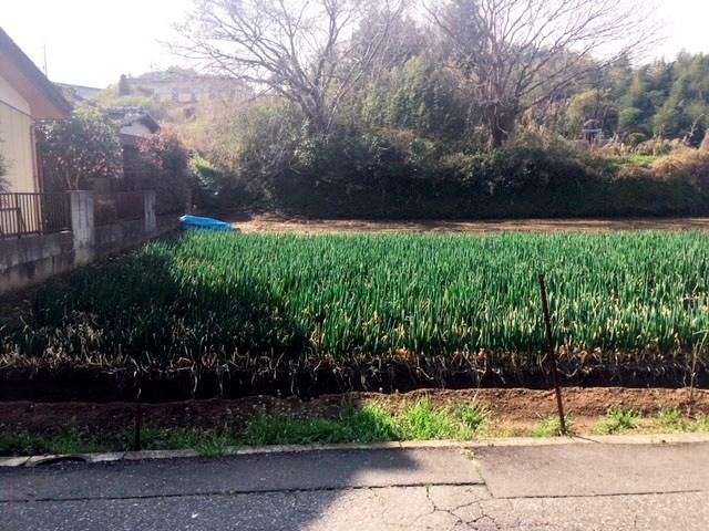 Spacious Land in Tsuchiura - Photo 1