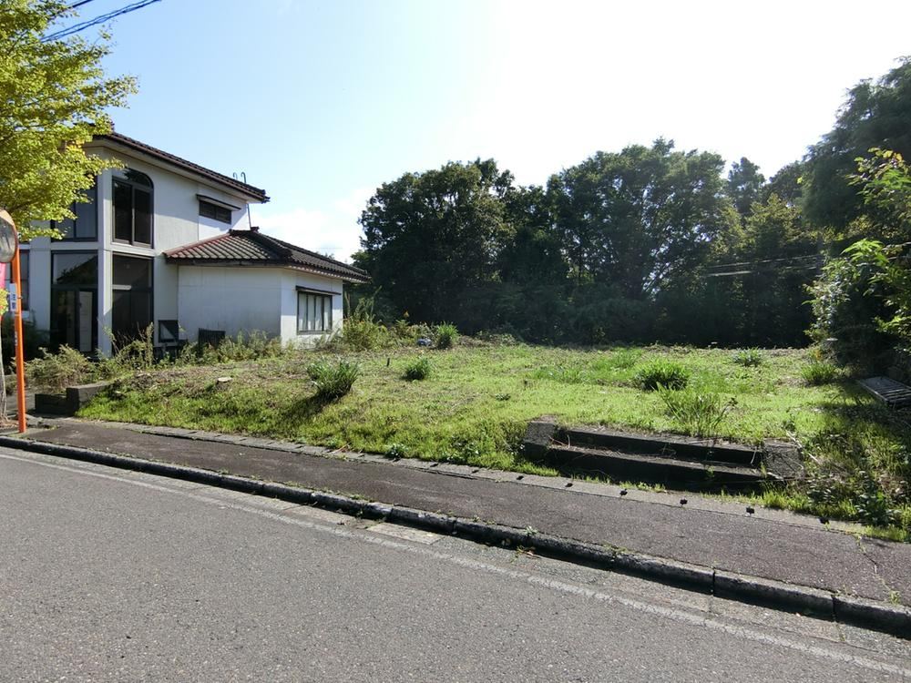 Sunny Land with Dual Road Access - Photo 1