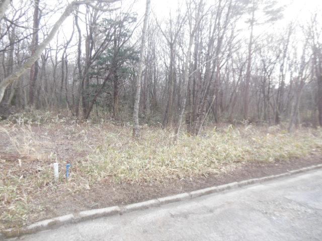 Spacious Land in Shimodano - Photo 1