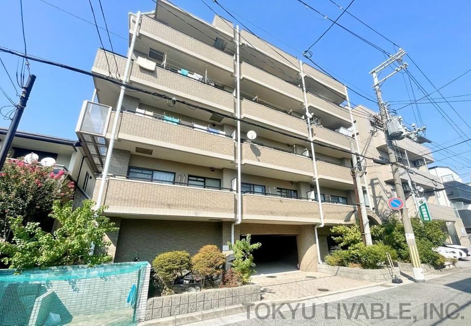 Property - Photo 1