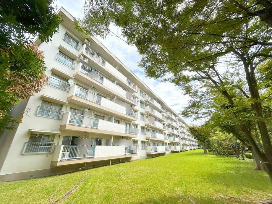Cozy 2LDK Apartment in Shiraitodai - Photo 1