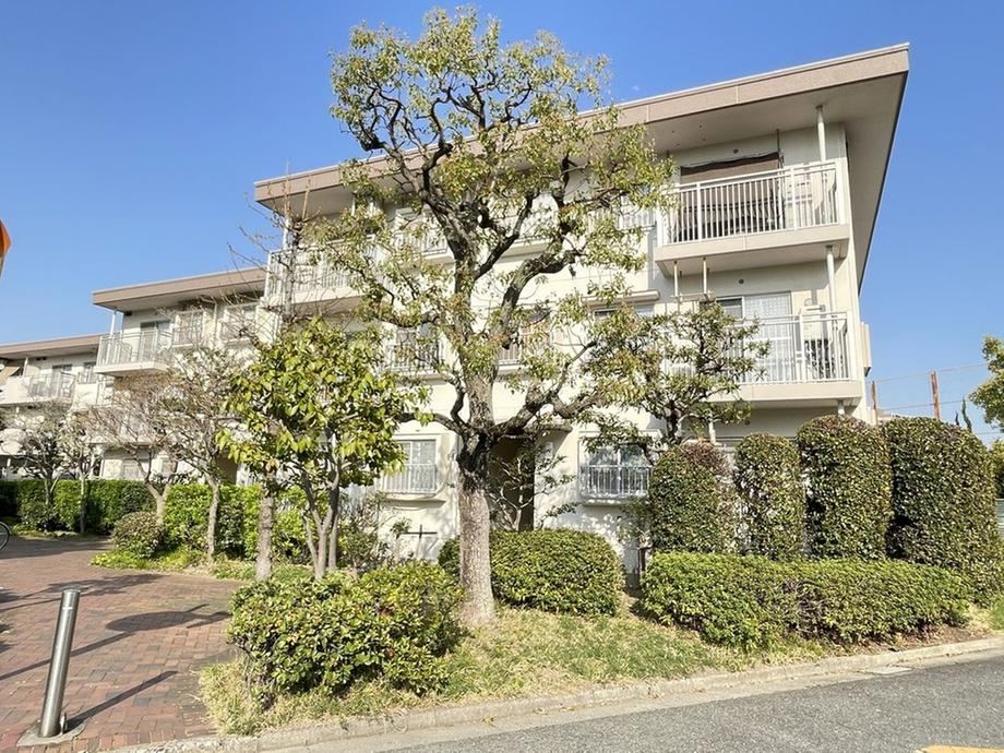 Property - Photo 1