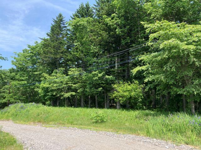 Wooded Land Near Iwanai Seki in Obihiro - Photo 1