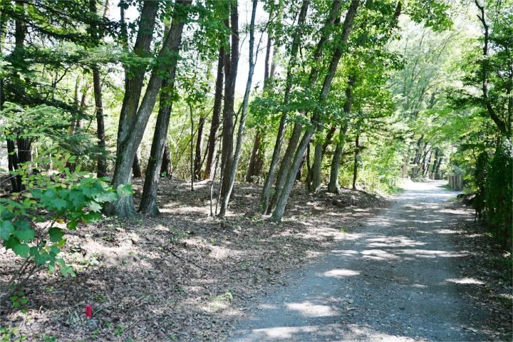 773 m² land in Miyota, Kitasaku District, Nagano - Photo 1