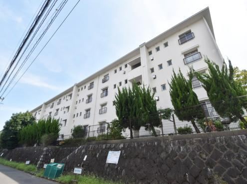 Renovated 2LDK Apartment in Aobaku - Photo 1