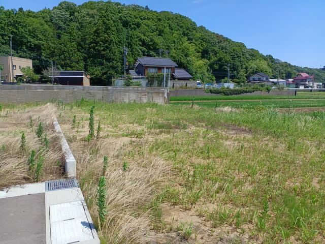 Property - Photo 1