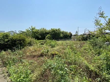 Generous Residential Land Over 150 Tsubo - Photo 1