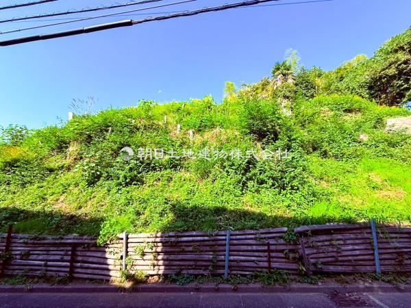 Customizable Land for Your Ideal Home - Photo 1