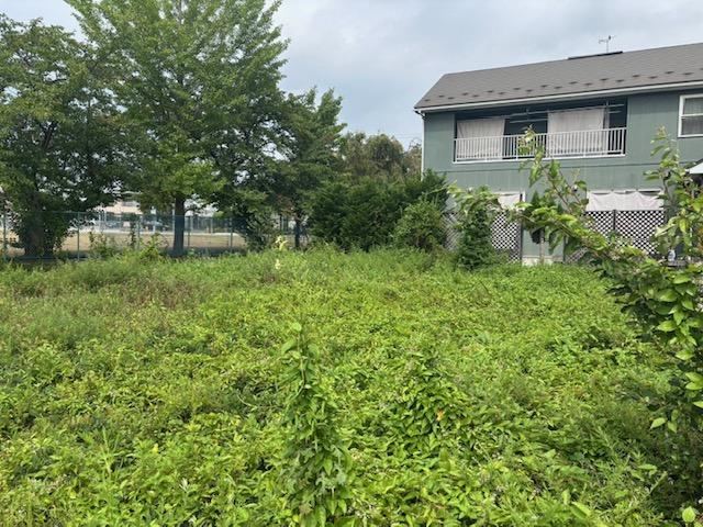Expansive 118 Tsubo Plot in Nagai - Photo 1