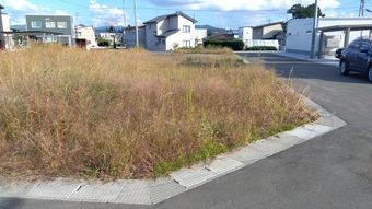 plot of land in Hirakawa