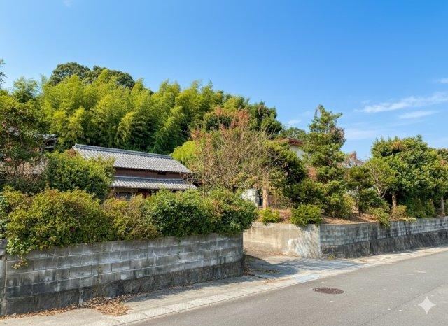 Property - Photo 1
