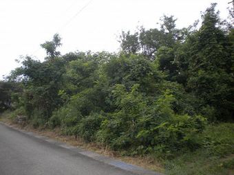 plot of land in Hakui District