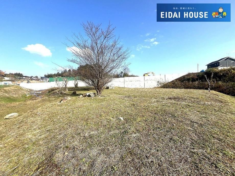 Choose Your Digital Gift with This Land Purchase - Photo 1