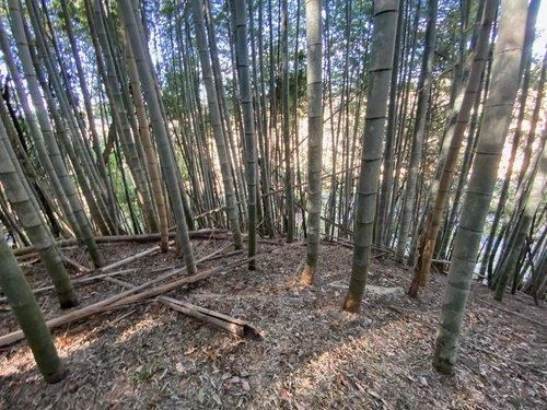7688 m² land in Yokoshibahikari, Sambu District, Chiba - Photo 1