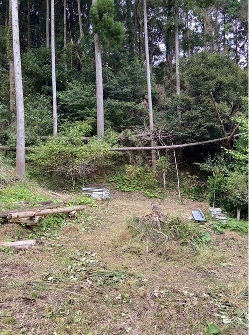3141 m² land in Isumi, Chiba - Photo 1