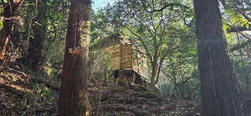 3866 m² land in Isumi, Chiba - Photo 1