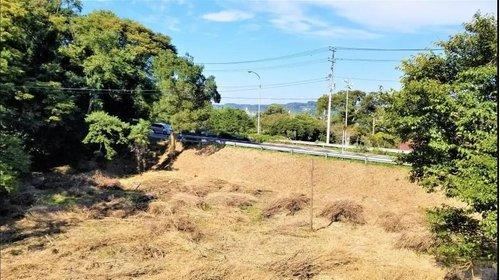 Property - Photo 1
