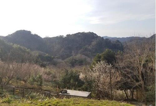 165 m² land in Kyonan, Awa District, Chiba - Photo 1