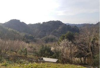 plot of land in Kyonan, Awa District