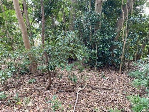 1936 m² land in Tateyama, Chiba - Photo 1