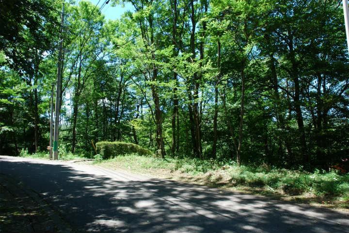404 m² land in Karuizawa, Kitasaku District, Nagano - Photo 1