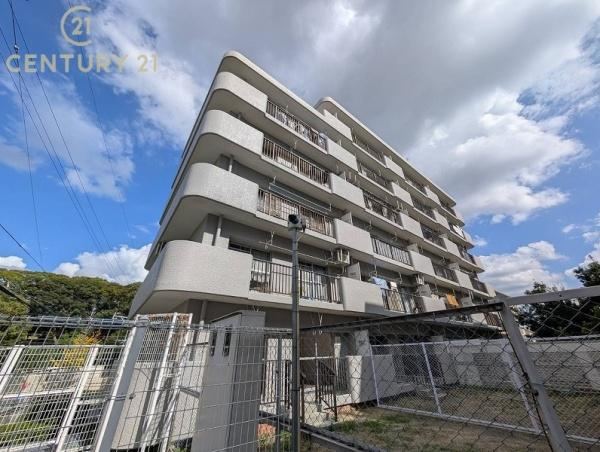 3LDK apartment in Chuo Ward, Fukuoka - Photo 1