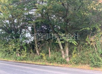 plot of land in Bando