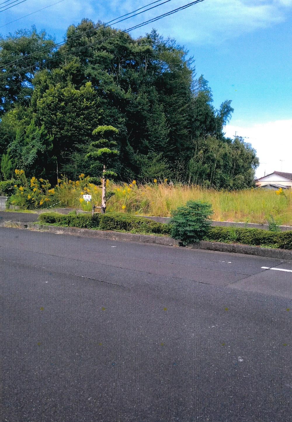 Property - Photo 1