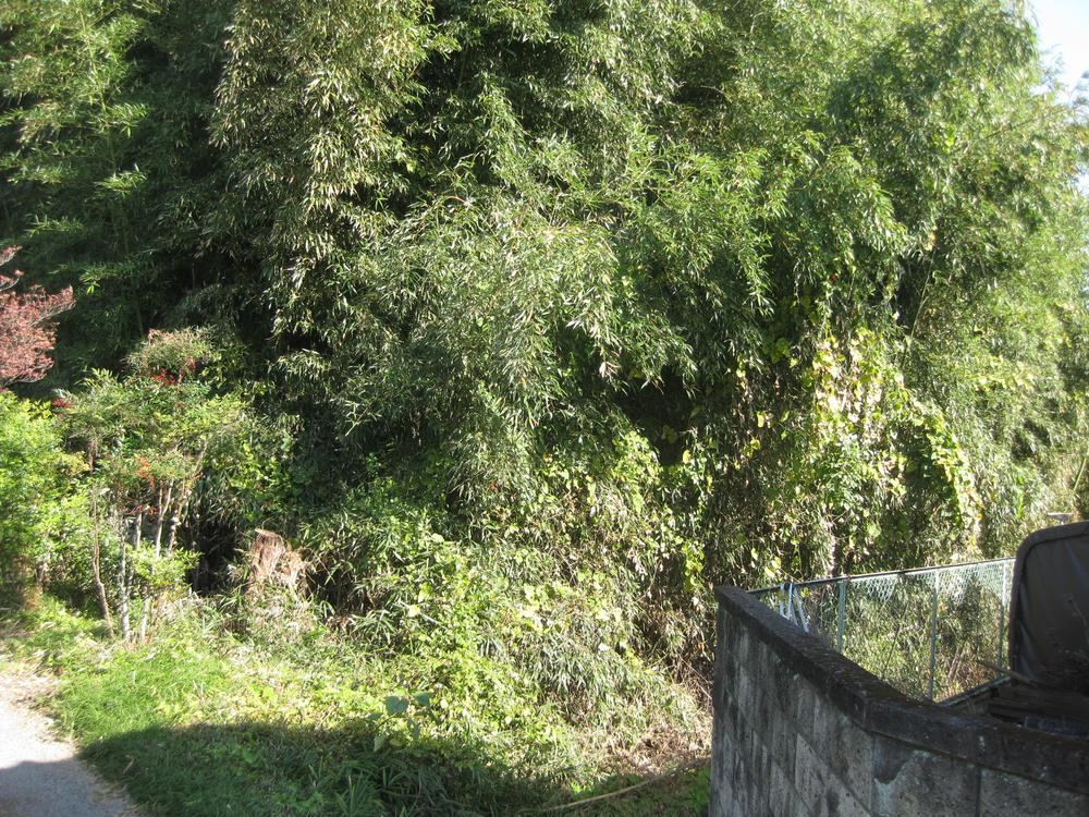 918 m² land in Annaka, Gunma - Photo 1