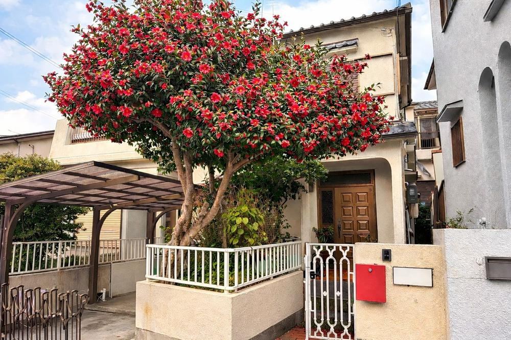 Renovation Opportunity: 4DK House in Higashi-Oike - Photo 1