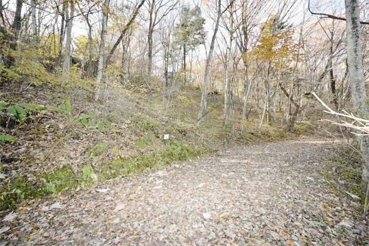 412 m² land in Karuizawa, Kitasaku District, Nagano - Photo 1