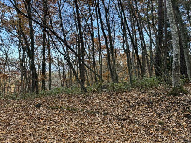 1197 m² land in Iizuna, Kamiminochi District, Nagano - Photo 1