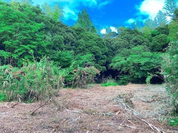 1053 m² land in Futtsu, Chiba - Photo 1